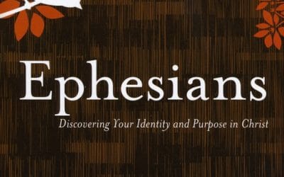 Ephesians: Discovering Your Identity and Purpose in Christ by @SueEdwardsDTS @KregelBooks