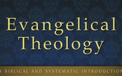 Review: Evangelical Theology by Michael Bird @Zondervan @JenniferGuo