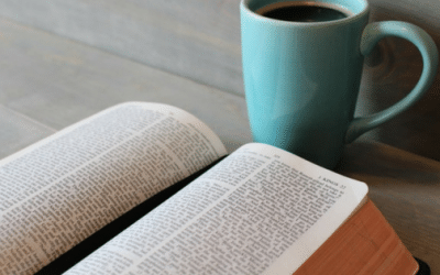 NIV First-Century Study Bible — Kent Dobson