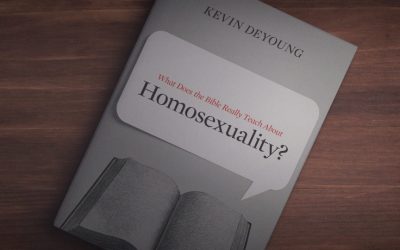 New Book: What the Bible Really Teaches on Homosexuality