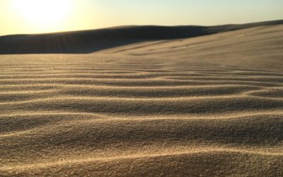 Psalm 139: More Than the Sand