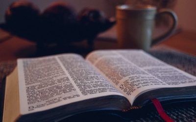 A Biblical-Theological Introduction to the Old Testament