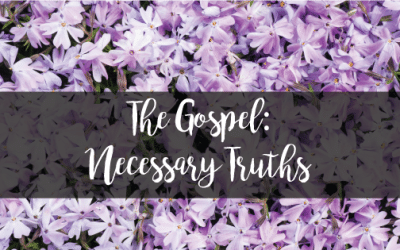 A Gospel Series: Necessary Truth Introduction